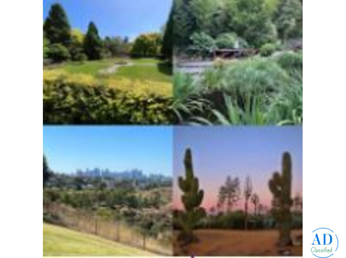 Best Melbourne Wedding Venues