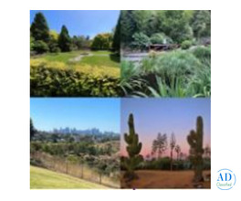 Best Melbourne Wedding Venues