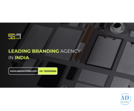 Boost Your Brand with the Best Online Branding Agency India | SapTtech Labs