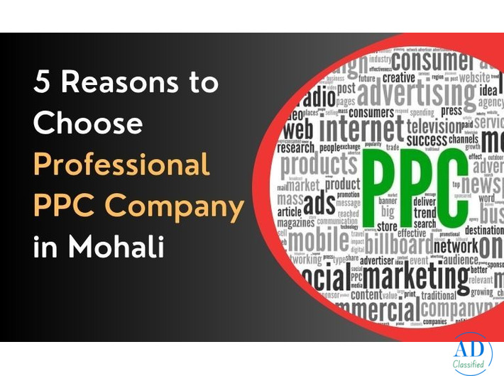 PPC Company Mohali