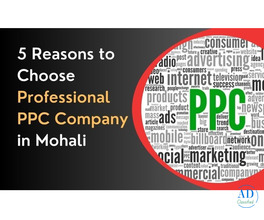 PPC Company Mohali