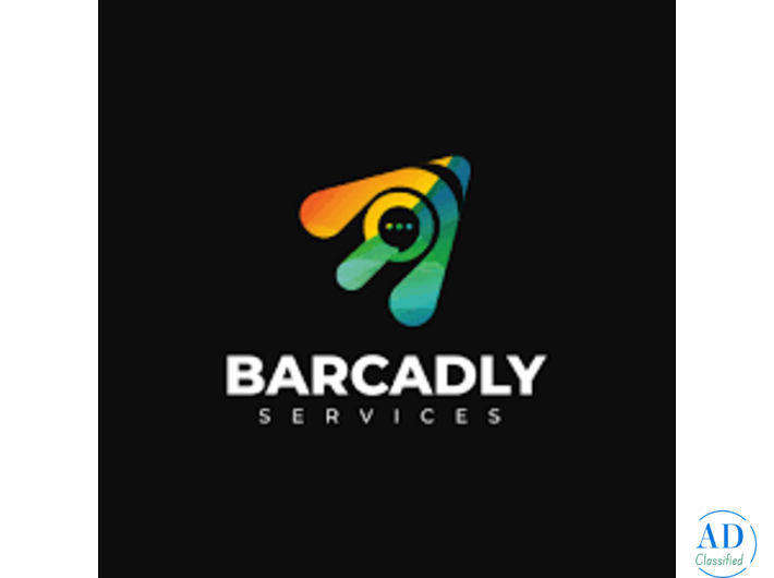 Top SEO Company in Kolhapur | Result-Driven SEO Services by Barcadly Services
