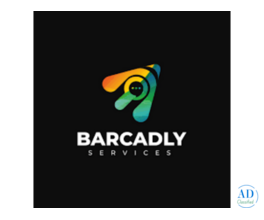 Top SEO Company in Kolhapur | Result-Driven SEO Services by Barcadly Services