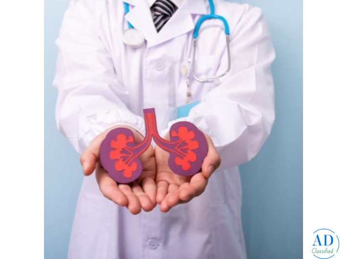 Get the Best Kidney Transplant in Mumbai with Dr. Chandan Chaudhari