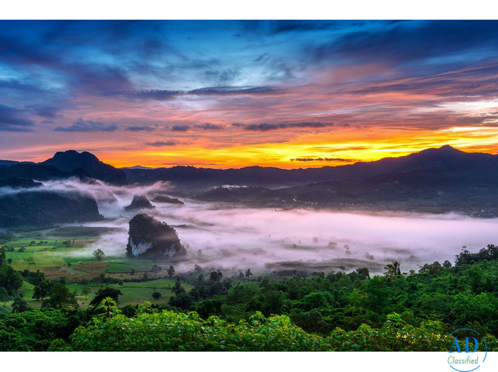 A Beautiful Start to Married Life Begins with Ooty Kodaikanal Tour Packages from Bangalore