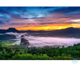 A Beautiful Start to Married Life Begins with Ooty Kodaikanal Tour Packages from Bangalore