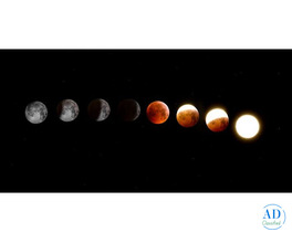 Create Your Own Online Kundali by Date of Birth - Divine Dhritii