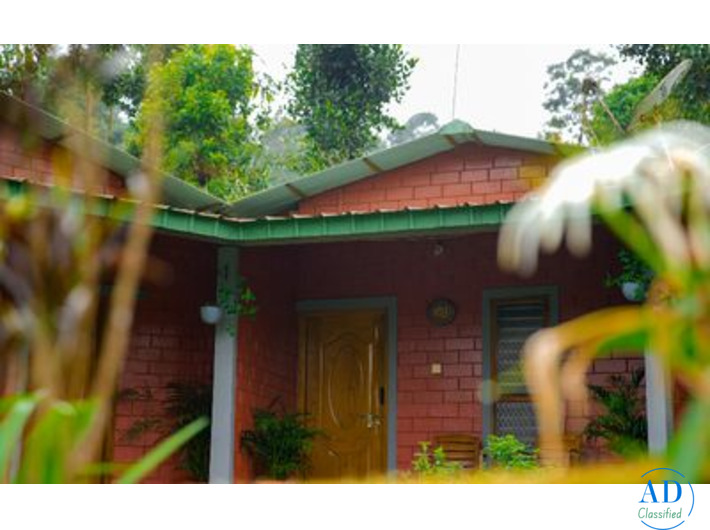 Best Cottages in Coorg Amid Coffee Plantations