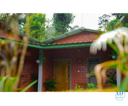 Best Cottages in Coorg Amid Coffee Plantations