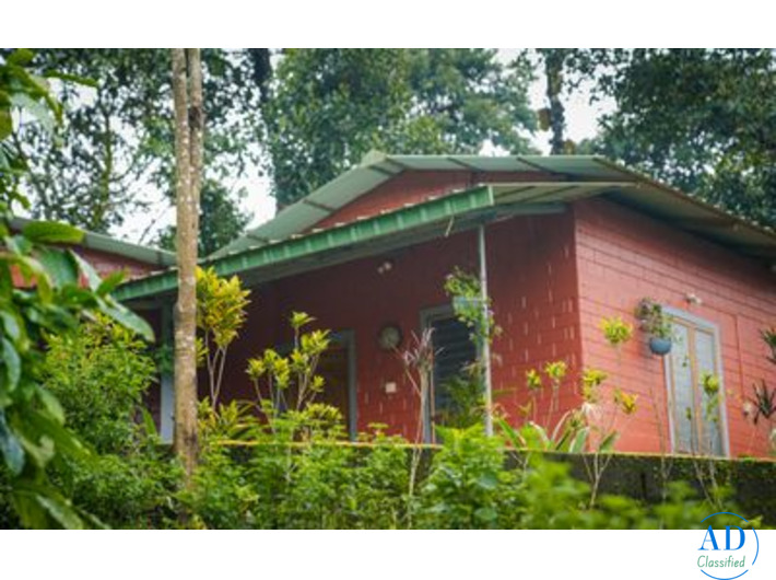 Best Cottages in Coorg Amid Coffee Plantations