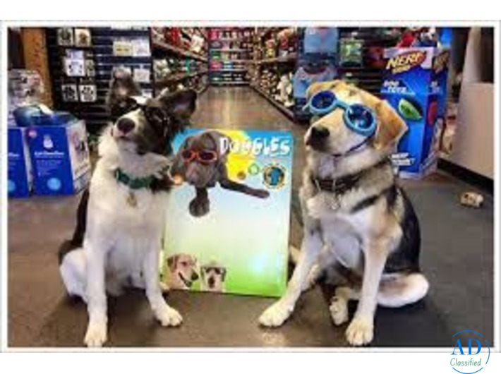 Pet Shop and Grooming Salon Hauz Khas South Delhi – The Ultimate Guide to Premium Pet Care