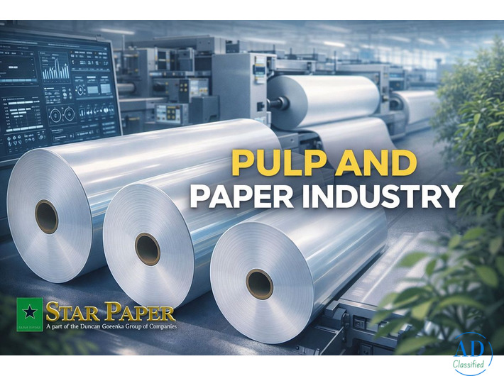 Pulp And Paper Industry: At Christmas From Tree to Gift Wrap
