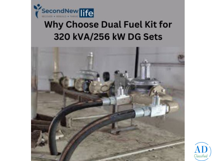 Why Choose Dual Fuel Kit for 320 kVA/256 kW DG Sets