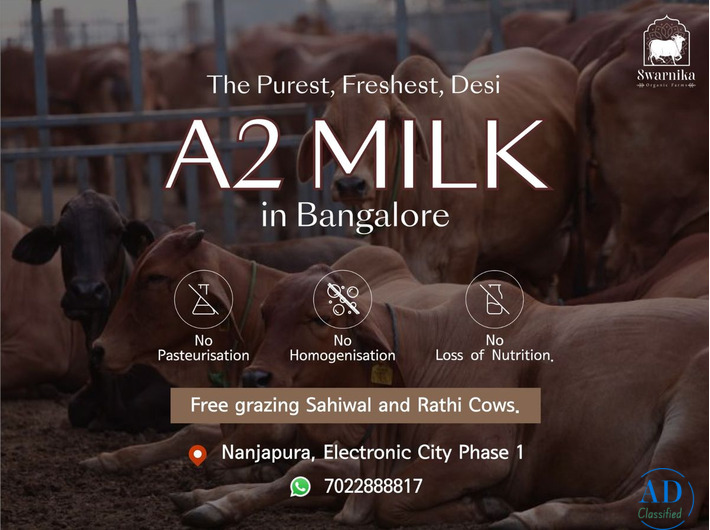 Farm-fresh A2 milk home delivery in Bangalore