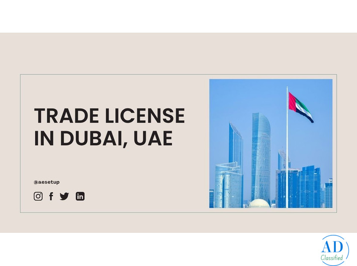 Trade License Dubai: A Complete Guide
