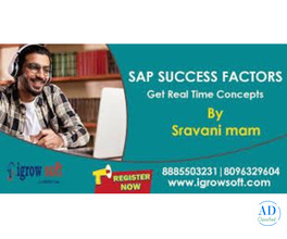 SAP Success Factors training and placement | Igrowsoft