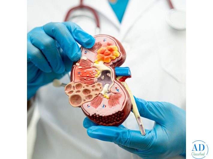 Expert Diabetic Kidney Disease Treatment in Mumbai by Senior Nephrologist