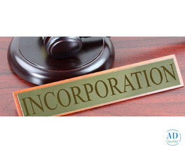 Start Your Company in India with Expert Chartered Accountants