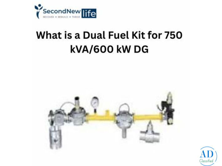 What is a Dual Fuel Kit for 750 kVA/600 kW DG