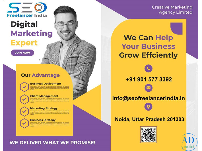 Best SEO Freelancer in India-Best SEO Services in Noida Delhi, Gurgaon