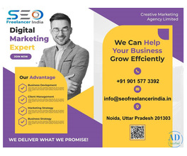 Best SEO Freelancer in India-Best SEO Services in Noida Delhi, Gurgaon