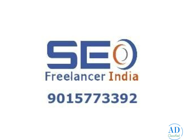 Best SEO Freelancer in India-Best SEO Services in Noida Delhi, Gurgaon