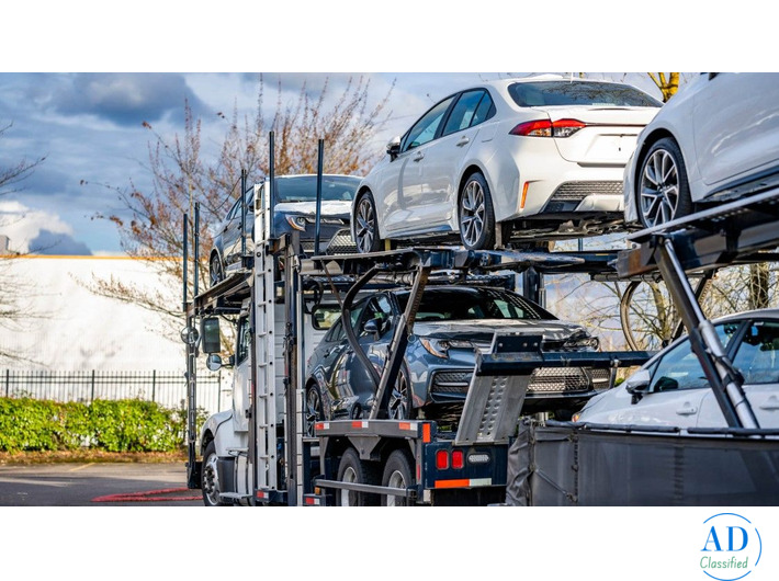 Best Car Shipping Services in South Carolina