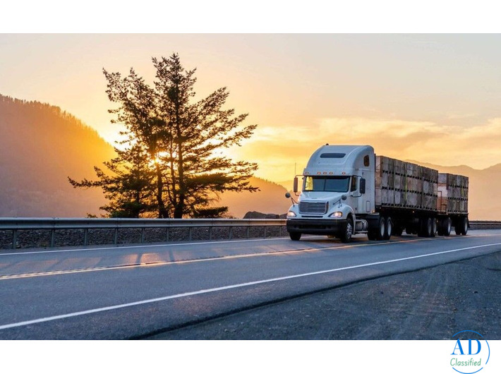 open auto transport services in south carolina