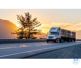 open auto transport services in south carolina