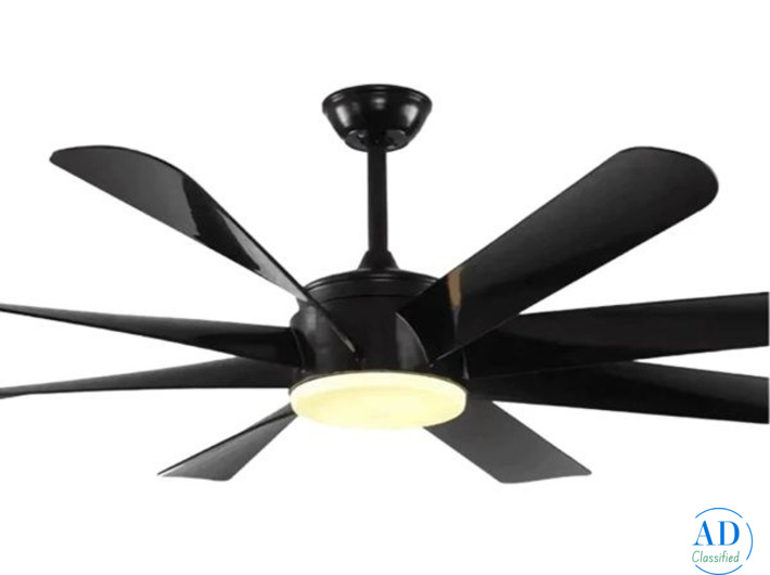 Top Quality Aesthetic Designer Fan