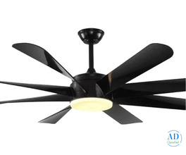 Top Quality Aesthetic Designer Fan