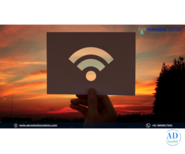 Wireless Mesh Network as a Response to Growing Connectivity Complexity