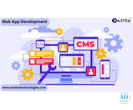 Professional Web Development Services for Scalable Business Growth