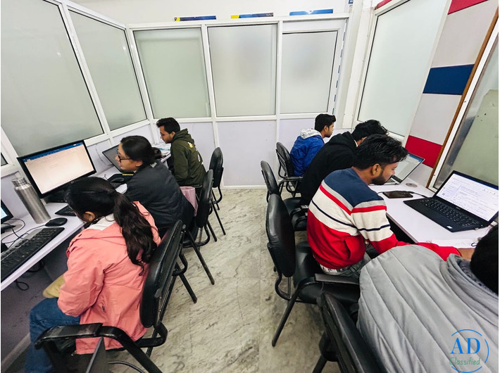 Softech Study - Digital Marketing and It Training Institute