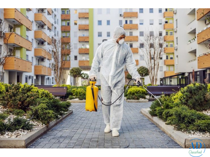 Trusted Solutions for Waterproofing in Chandigarh