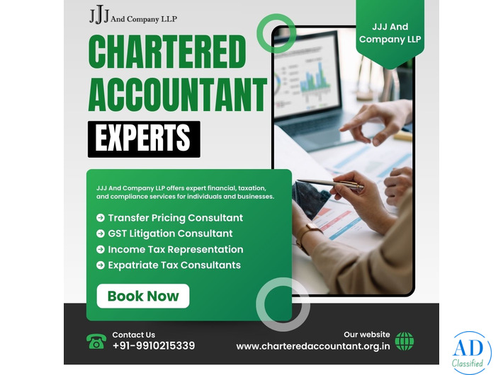 Income Tax Litigation