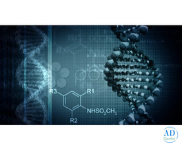 Vidya University - Meerut Best College for Advanced M.Sc Programs