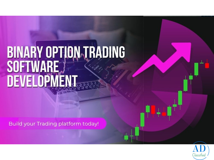 Stop losing traders due to bugs – Get professional binary option trading development
