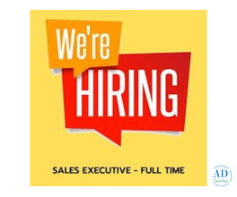 WE ARE LOOKING FOR Sales Executive  IN SALEM
