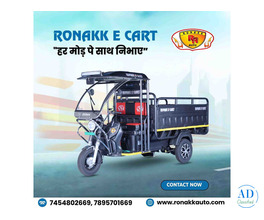 Top e rickshaw manufacturers in Bihar