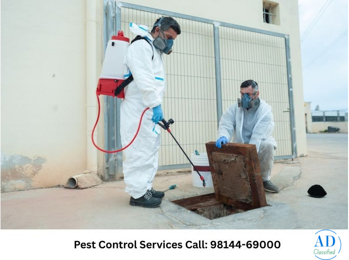 Professional Pest Control for Homes & Offices Nearby