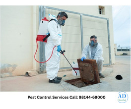 Professional Pest Control for Homes & Offices Nearby