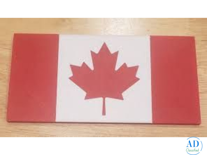 Premium PLA Filament for 3D Printers – In Stock & Ships Canada-Wide! 🇨🇦