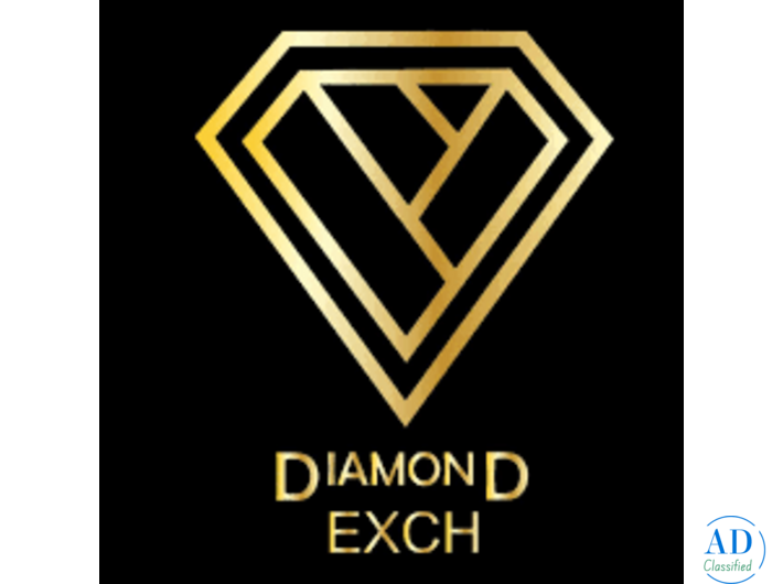 A Balanced Cricket Platform Focused on Trust, Performance, and Ease of Use