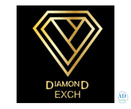 A Balanced Cricket Platform Focused on Trust, Performance, and Ease of Use