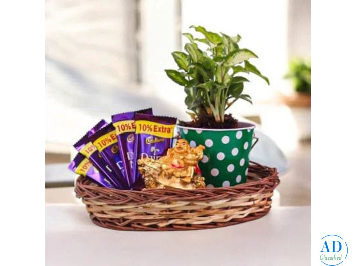 What Is the Ideal Price Range for Housewarming Gifts?