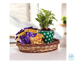 What Is the Ideal Price Range for Housewarming Gifts?