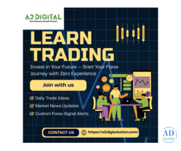 Best Digital Marketing Agency in India | A2 Digital – Result-Driven Growth