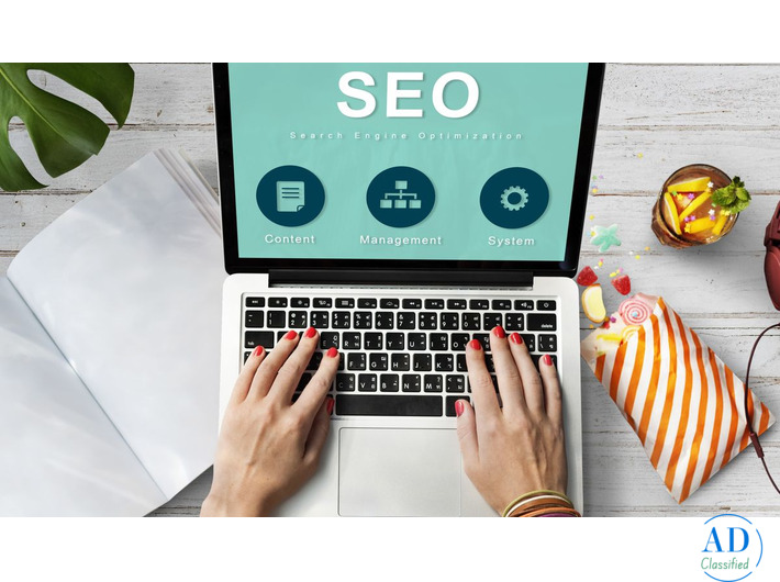 Professional SEO Services for Ecommerce Growth