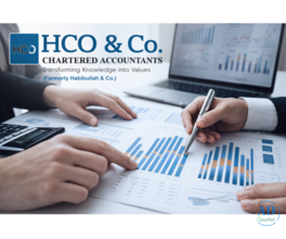 Why Are Audit and Assurance Services Essential for Businesses?